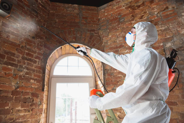 Best Mold Removal for HVAC Installations  in Pierre Part, LA